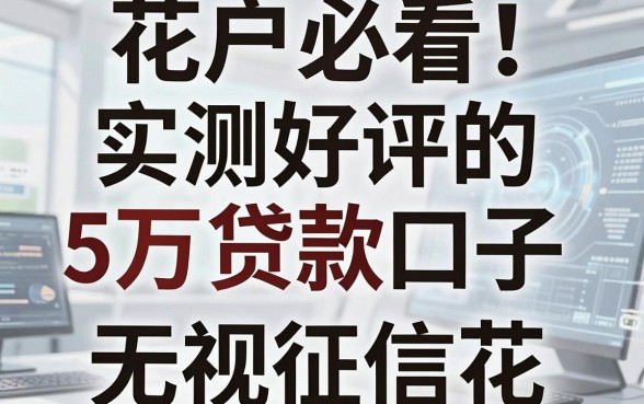 花户必看！实测好评的5万贷款口子，这几家真的无视征信花！