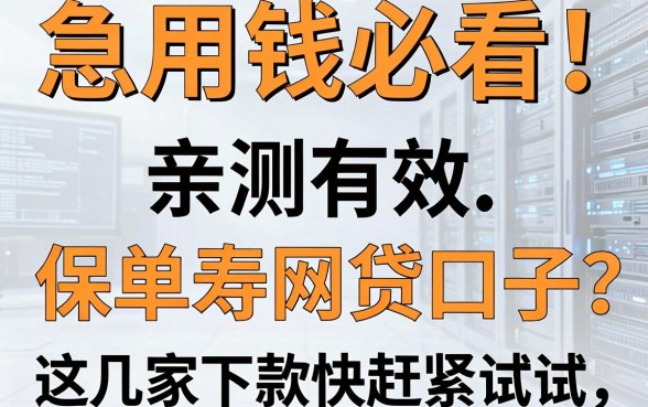 急用钱必看!亲测有效的线上寿险保单网贷口子,这几家下款快赶紧试试