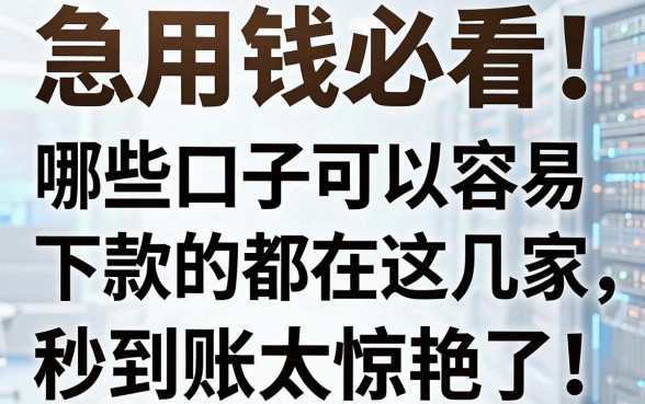 急用钱必看!哪些口子可以容易下款的都在这几家,秒到账太惊艳了!