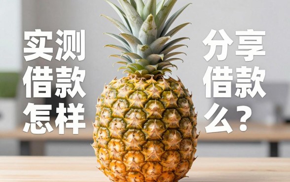 菠萝包借款怎么样？实测分享几个靠谱的借款渠道