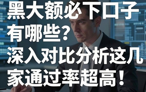 《黑户大额必下口子有哪些?深入对比分析这几家通过率超高!》