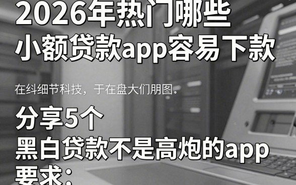 2026年热门哪些小额贷款app容易下款,分享5个黑白贷款不是高炮的app