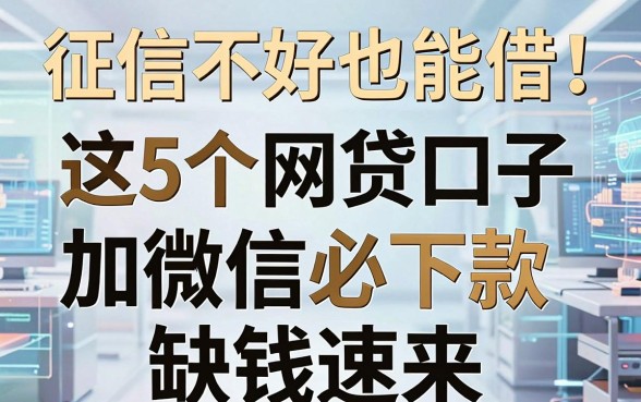 征信不好也能借！这5个网贷口子加微信必下款，缺钱速来
