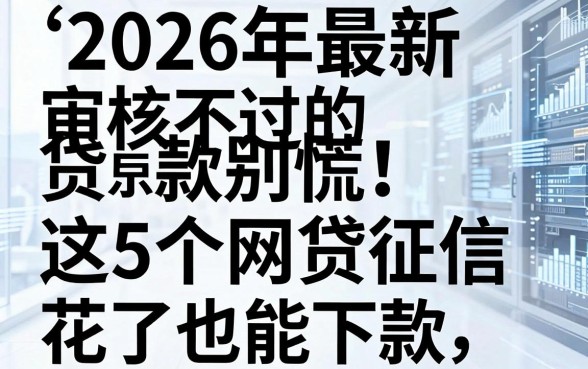2026年最新审核不过的贷款别慌！这5个网贷征信花了也能下款