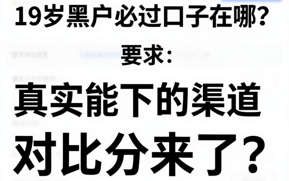 19岁黑户必过口子在哪?真实能下的渠道对比分析来了!