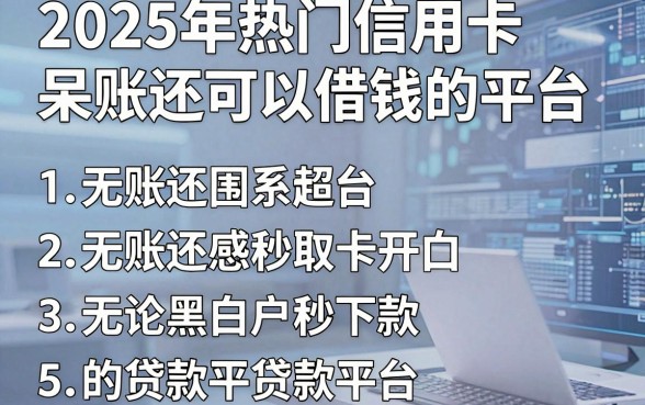 2025年热门信用卡呆账还可以借钱的平台，概括五个无论黑白户秒下款的贷款平台