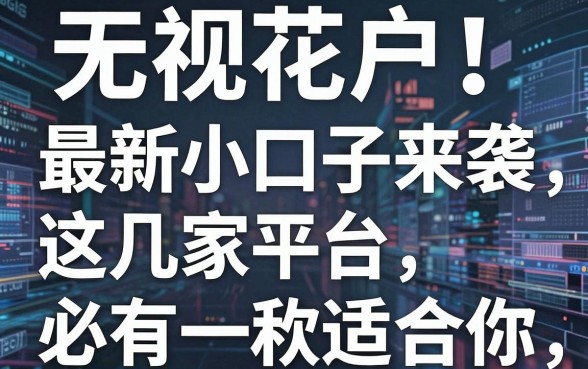 无视花户!最新小口子来袭,这几家平台必有一款适合你