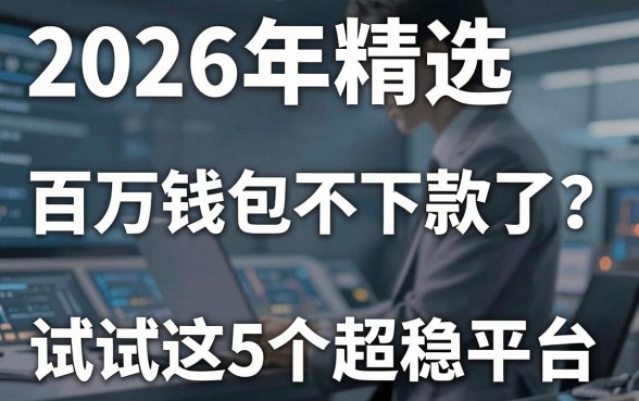 2026年精选：百万钱包不下款了？试试这5个超稳平台！