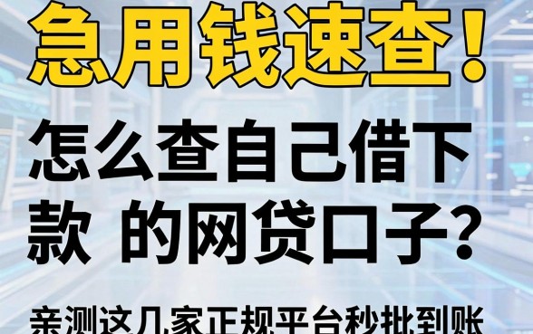 急用钱速查!怎么查自己借下款的网贷口子?亲测这几家正规平台秒批到账