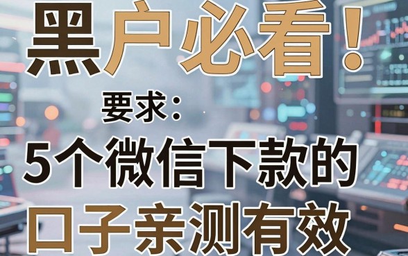 黑户必看！5个微信能下款的口子亲测有效