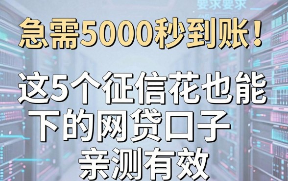 急需5000秒到账!这5个征信花也能下的网贷口子,亲测有效