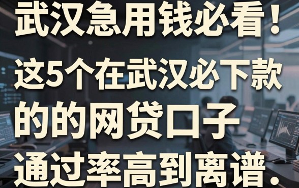 武汉急用钱必看!这5个在武汉必下款的网贷口子,通过率高到离谱
