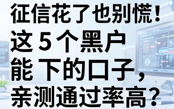 征信花了也别慌!这5个黑户能下的口子,亲测通过率高,速看