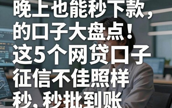 晚上也能秒下款的口子大盘点！这5个网贷口子，征信不佳照样秒批到账