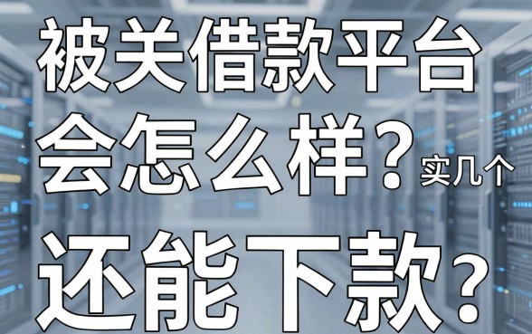 被关借款平台会怎么样？实测这几个还能下款