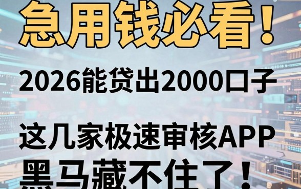 急用钱必看!2026能贷出2000的口子,这几家极速审核APP黑马藏不住了!