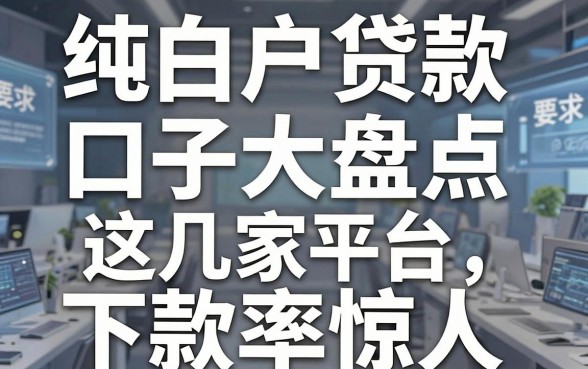 纯白户贷款口子大盘点，这几家平台下款率惊人！