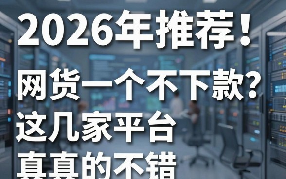 2026年推荐！网货一个不下款？这几家平台真的不错！
