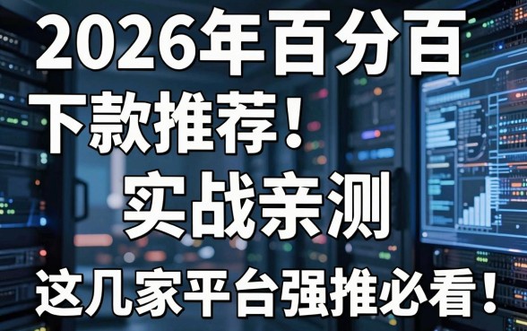 2026年百分百下款推荐！实战亲测，这几家平台强推必看！