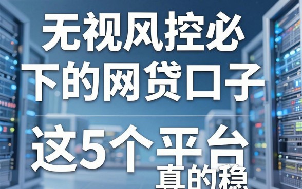 无视风控必下的网贷口子,这5个平台真的稳!
