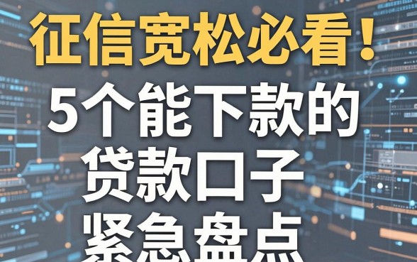 征信宽松必看!5个能下款的贷款口子紧急盘点