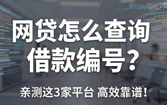 网贷怎么查询借款编号？亲测这3家平台高效靠谱，赶紧试试