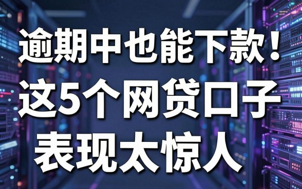 逾期中也能下款!这5个网贷口子表现太惊人,抓紧收藏