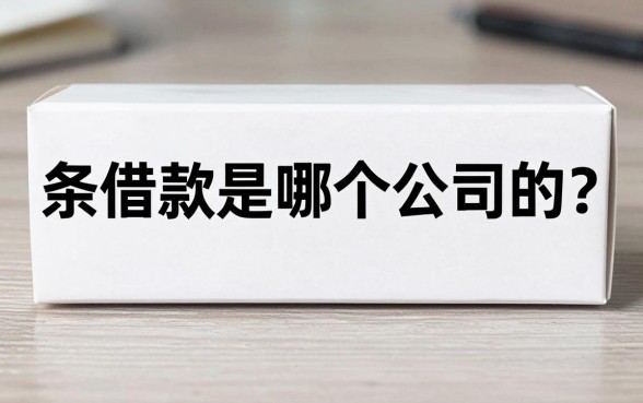白条借款是哪个公司的？银行人悄悄告诉你背后的门道