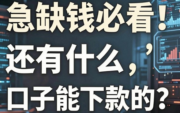 急缺钱必看!还有什么口子能下款的?这几家平台真的惊艳到我了!
