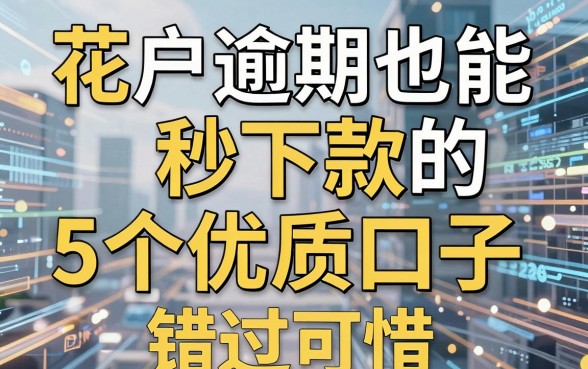 花户逾期也能秒下款的5个优质口子,错过可惜!