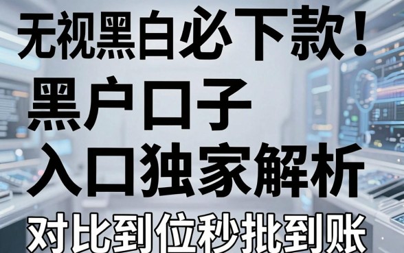 无视黑白必下款!黑户口子入口独家解析,对比到位秒批到账