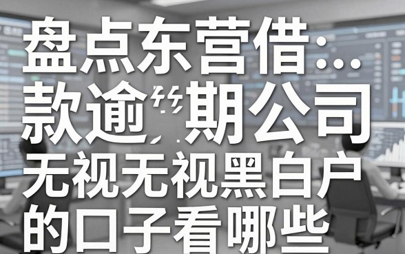 盘点东营借款逾期公司有哪些，无视黑白户的口子看这里