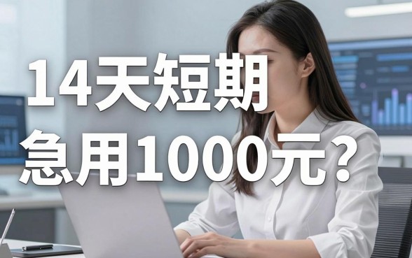 14天短期急用1000元?小新借贷体验后,长期周转更推荐这几家!