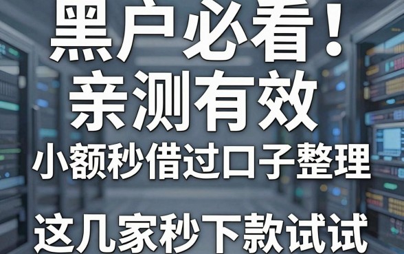 黑户必看！亲测有效的小额秒借过口子整理，这几家秒下款试试