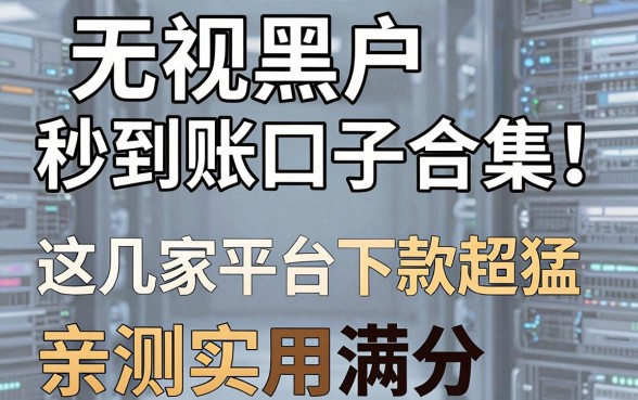 无视黑户秒到账口子合集!这几家平台下款超猛,亲测实用满分