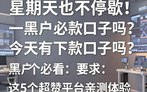 星期天也不停歇!黑户必看:今天有下款口子吗?这5个超赞平台亲测体验!