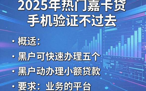 2025年热门嘉卡贷手机验证不过去,概括五个黑户可快速办理小额贷款业务的平台