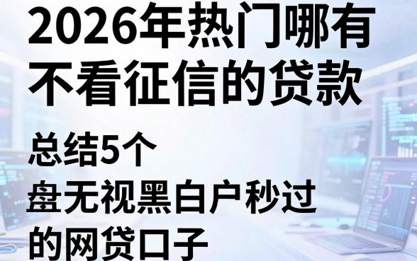 2026年热门哪有不看征信的贷款，总结5个无视黑白户秒过的网贷口子