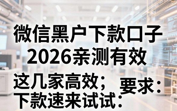 微信黑户下款口子2026亲测有效，这几家高效下款速来试试！
