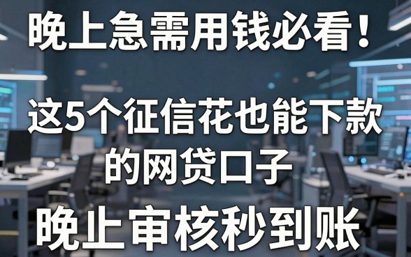 晚上急需用钱必看!这5个征信花也能下款的网贷口子,晚上审核秒到账