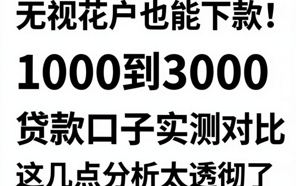 无视花户也能下款!1000到3000贷款口子实测对比,这几点分析太透彻了