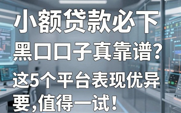 小额贷款必下黑口子真靠谱?这5个平台表现优异值得一试!