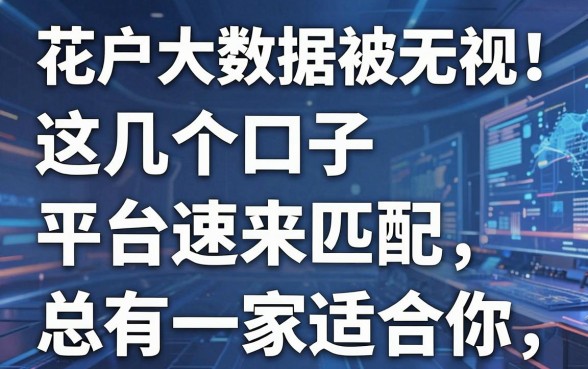 花户大数据被无视！这几个口子平台速来匹配，总有一家适合你
