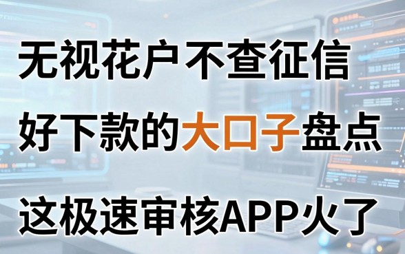 无视花户不查征信,好下款的大口子盘点,这几家极速审核APP火了!