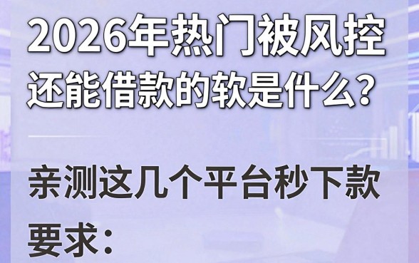 2026年热门被风控还能借款的软件是什么?亲测这几个平台秒下款!