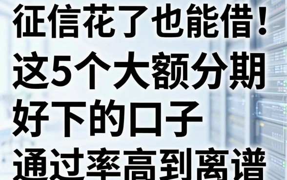 征信花了也能借!这5个大额分期好下的口子,通过率高到离谱
