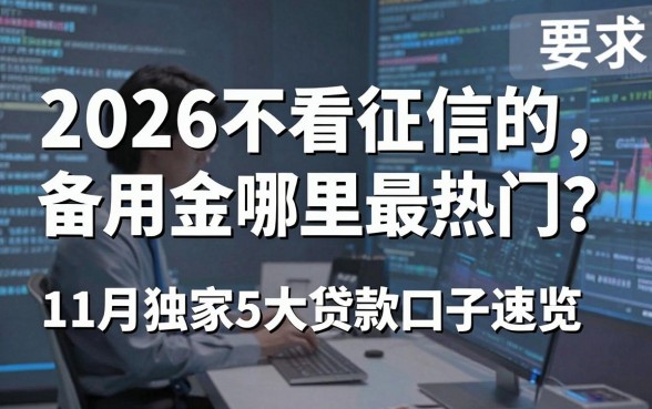 2026不看征信的备用金哪里最热门?11月独家5大贷款口子速览
