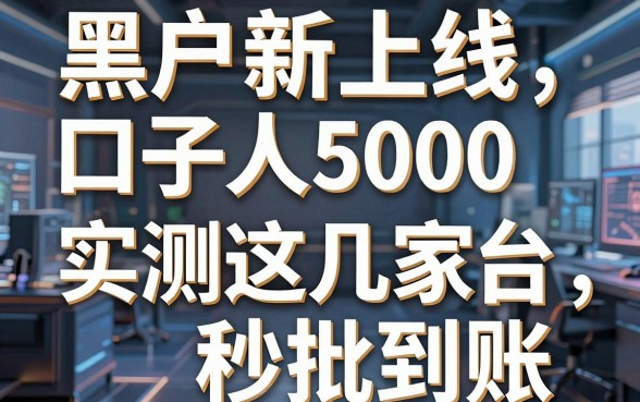 黑户新上线口子人人5000,实测这几家平台秒批到账!
