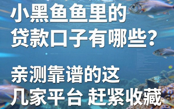小黑鱼里的贷款口子有哪些?亲测靠谱的这几家平台赶紧收藏!