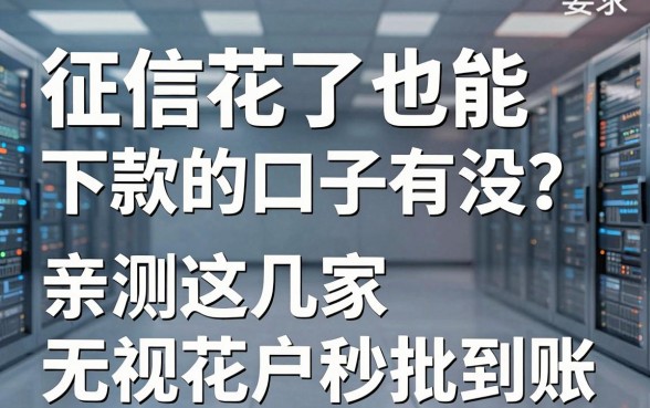 征信花了也能下款的口子有没?亲测这几家无视花户秒批到账!